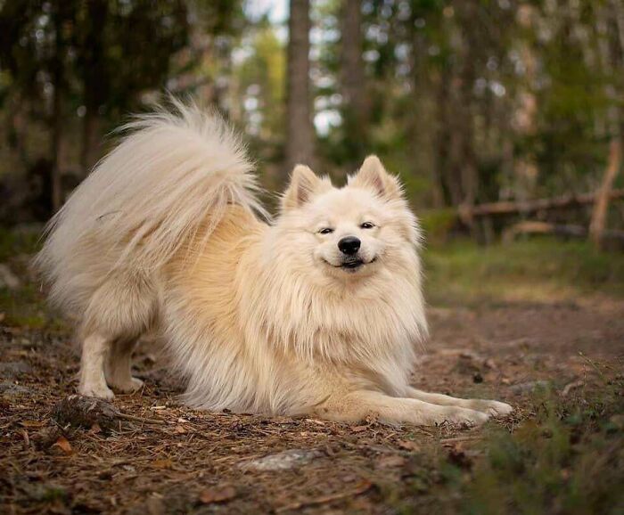Get Ready to Smile: 50+ Animal Pics That Are Basically Happiness in a Snapshot
