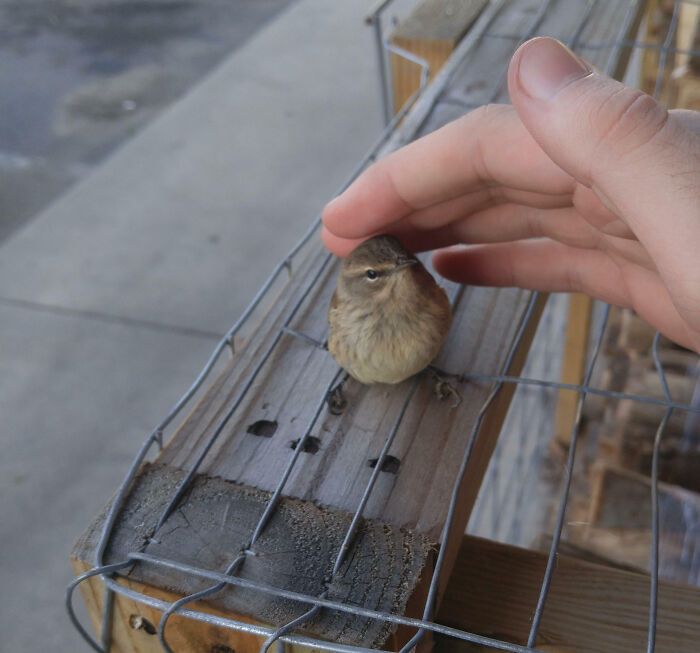 Get Ready to Smile: 50+ Animal Pics That Are Basically Happiness in a Snapshot