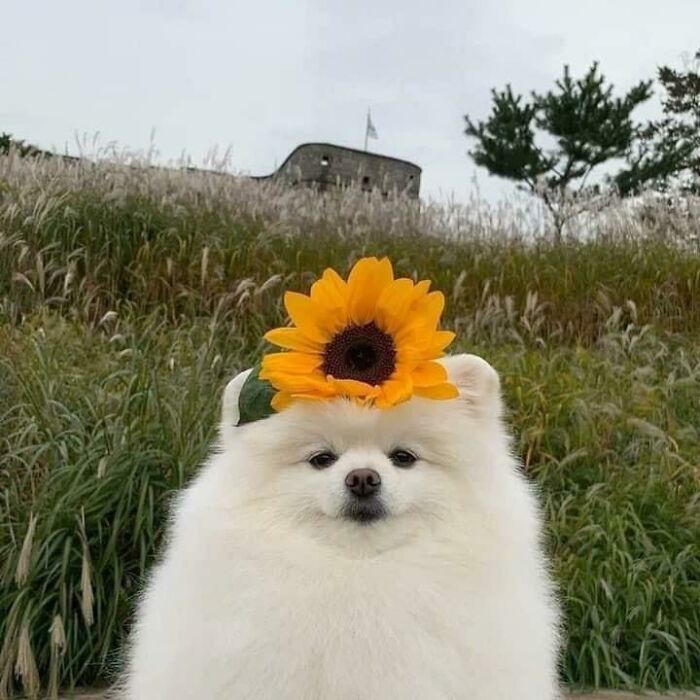 Get Ready to Smile: 50+ Animal Pics That Are Basically Happiness in a Snapshot