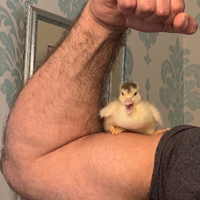 Get Ready to Smile: 50+ Animal Pics That Are Basically Happiness in a Snapshot
