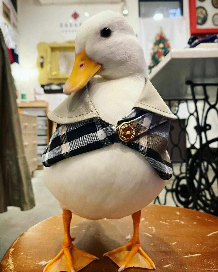 Get Ready to Smile: 50+ Animal Pics That Are Basically Happiness in a Snapshot