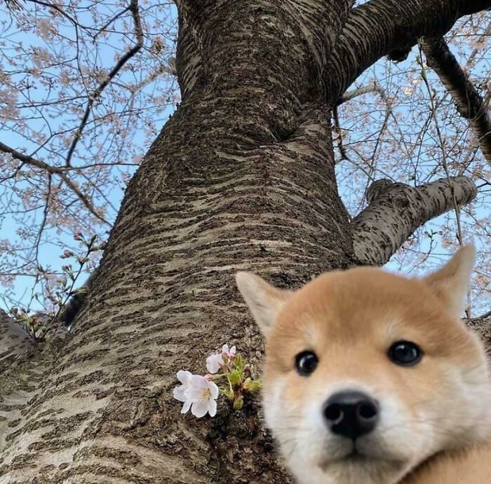 Get Ready to Smile: 50+ Animal Pics That Are Basically Happiness in a Snapshot