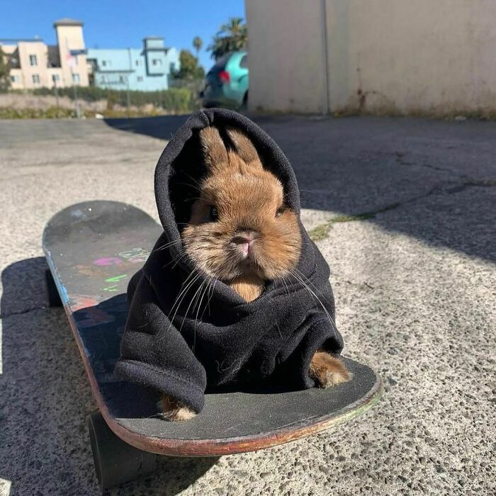 Get Ready to Smile: 50+ Animal Pics That Are Basically Happiness in a Snapshot
