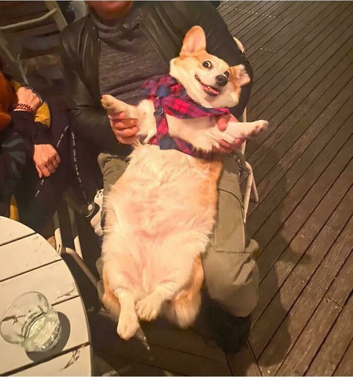 Get Ready to Smile: 50+ Animal Pics That Are Basically Happiness in a Snapshot