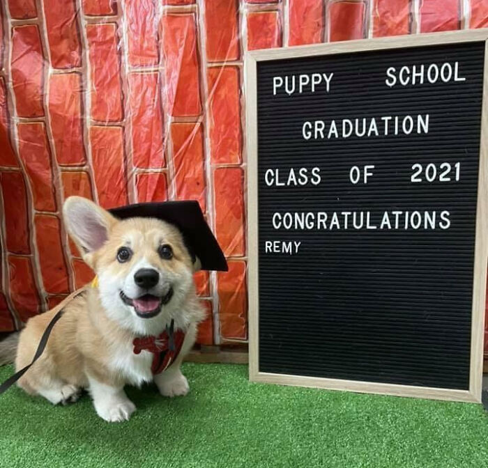 Get Ready to Smile: 50+ Animal Pics That Are Basically Happiness in a Snapshot