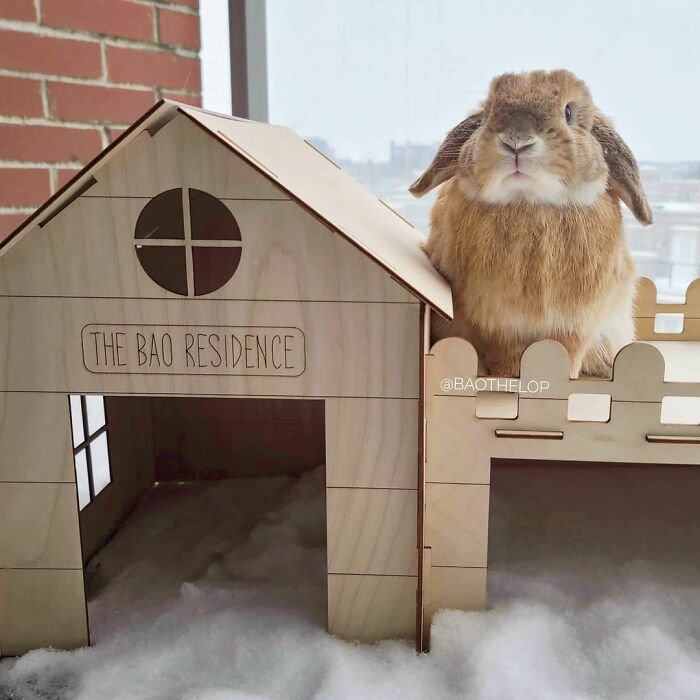 Get Ready to Smile: 50+ Animal Pics That Are Basically Happiness in a Snapshot