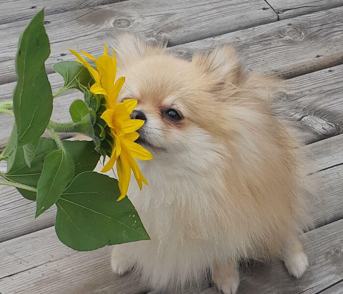 Get Ready to Smile: 50+ Animal Pics That Are Basically Happiness in a Snapshot