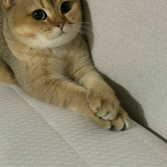 Get Ready to Smile: 50+ Animal Pics That Are Basically Happiness in a Snapshot