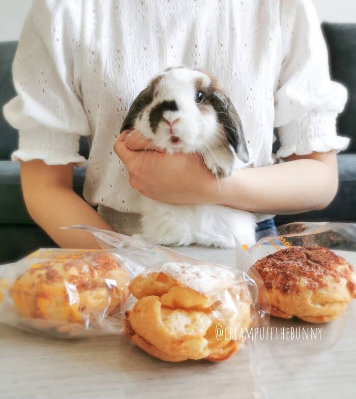 Get Ready to Smile: 50+ Animal Pics That Are Basically Happiness in a Snapshot
