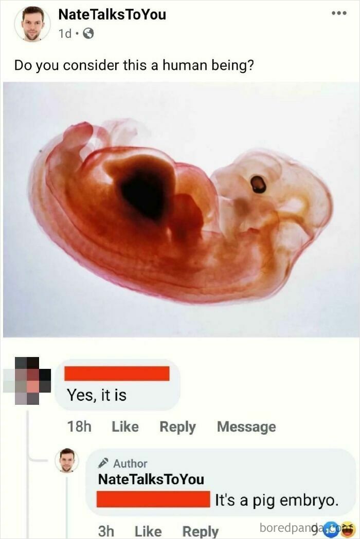 Questioning Humanity Since Forever