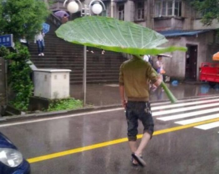 The ‘Innovative’ Umbrella Design