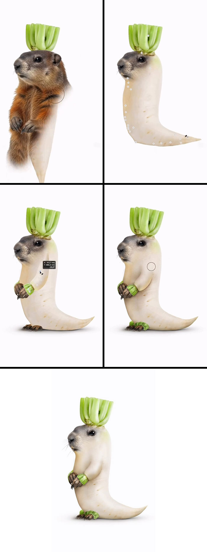 Marmish: The Radish Marmot