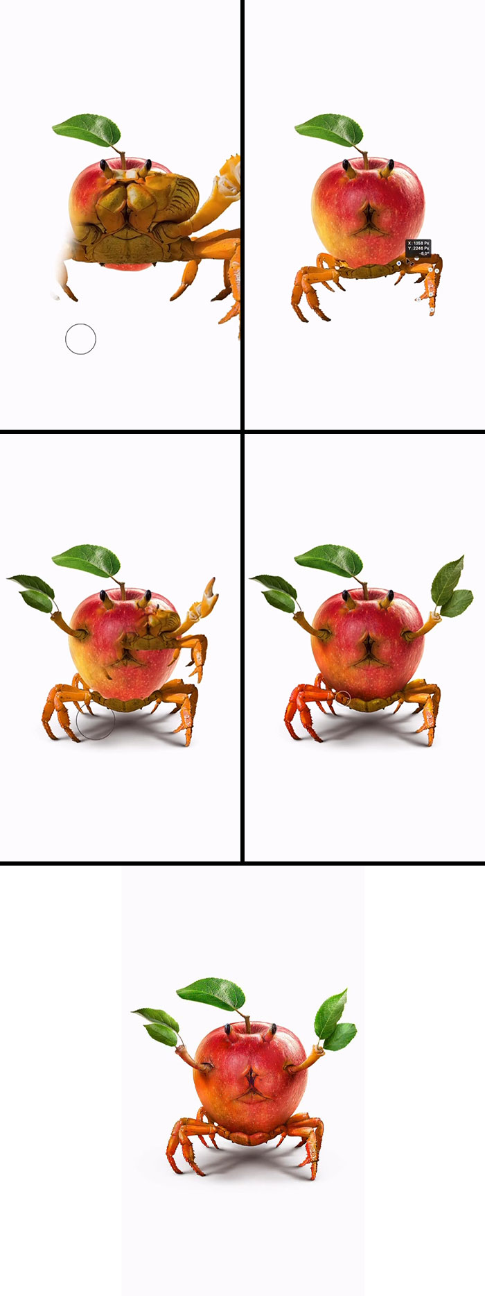 Crapple: When Apple Meets... Crappy?
