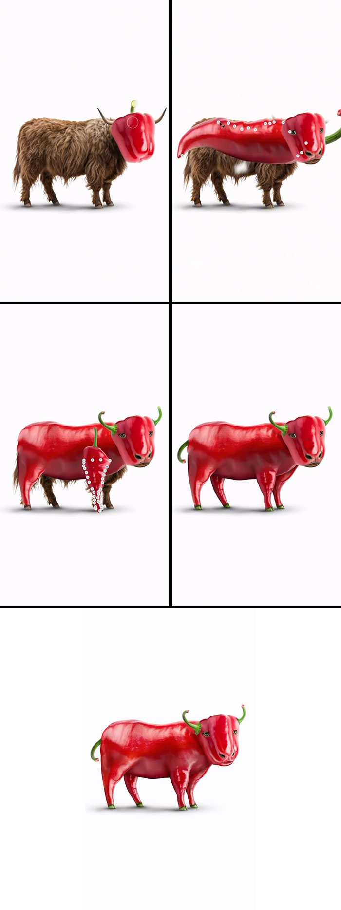 Pepper On 4 Legs