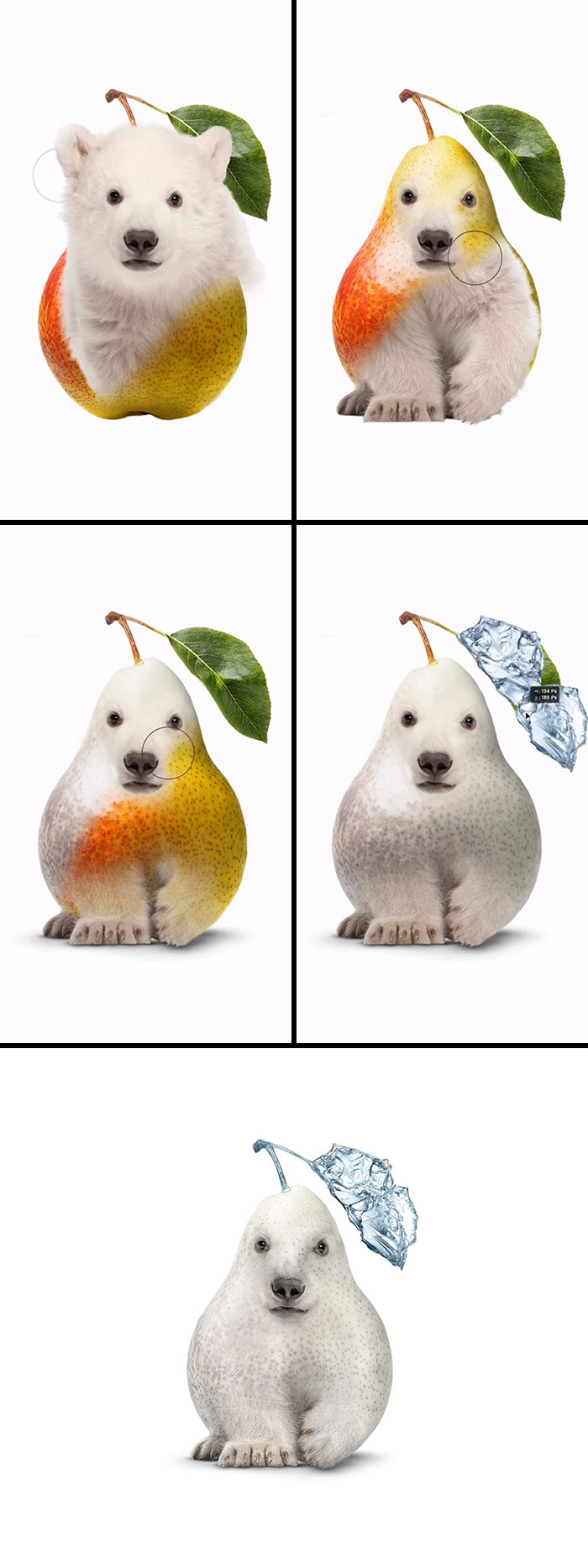 Polar Pear