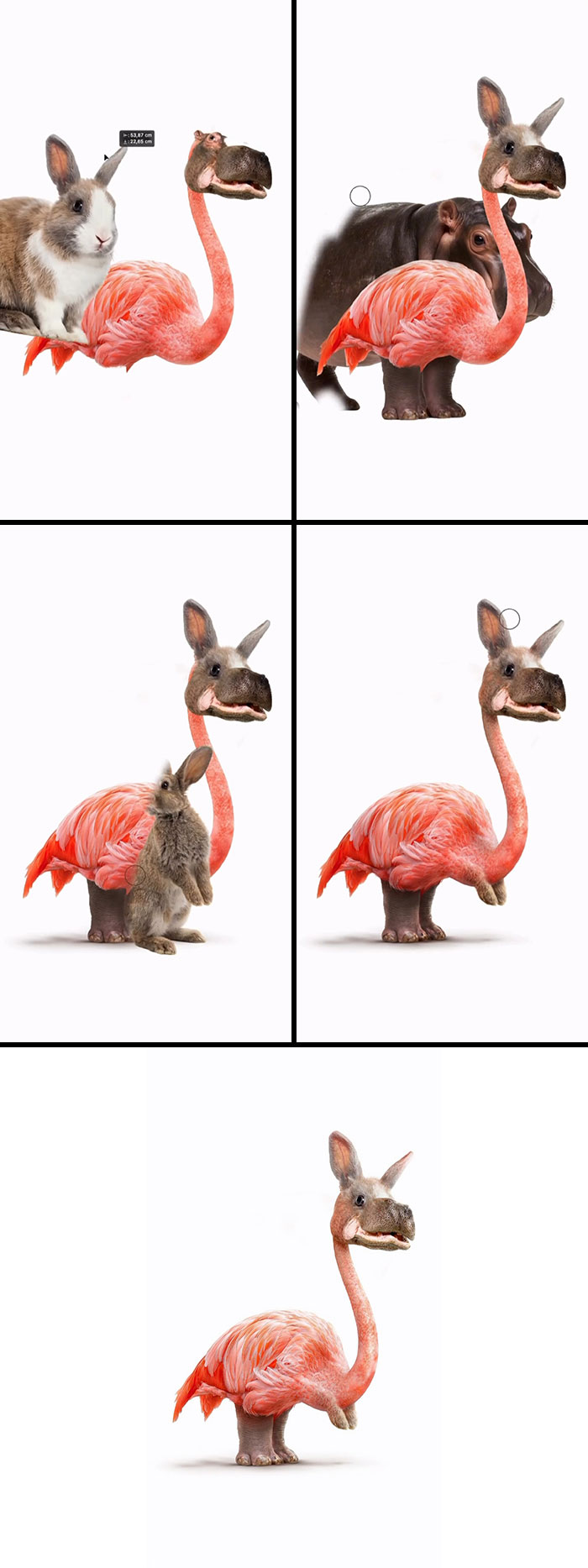 When Three Animals Become One