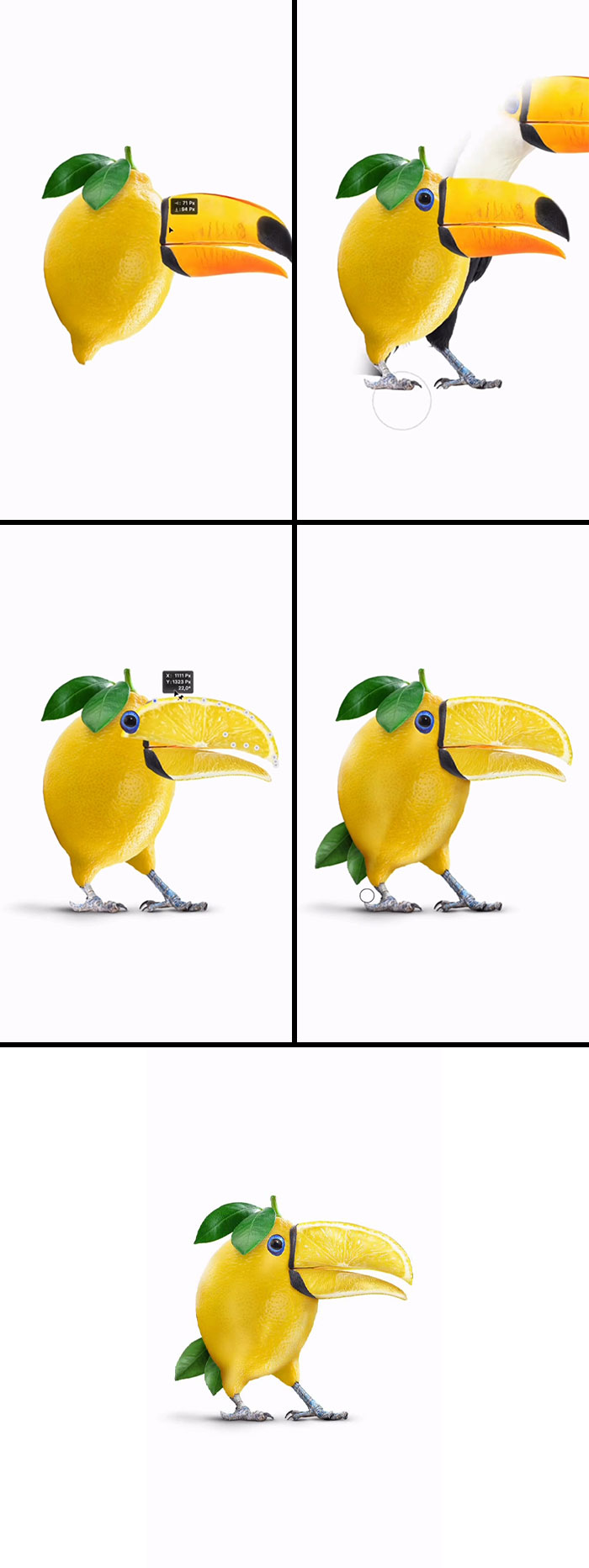Lemon-Toucan: That’s a Beak Full of Citrus