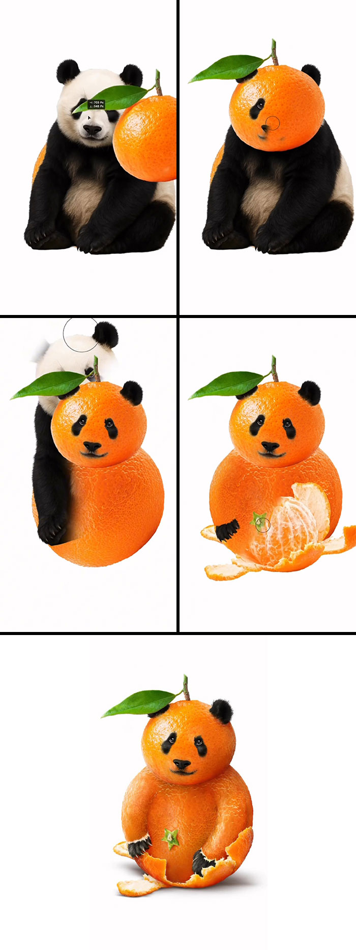 Pandarin: When Panda Meets... Mandarin?