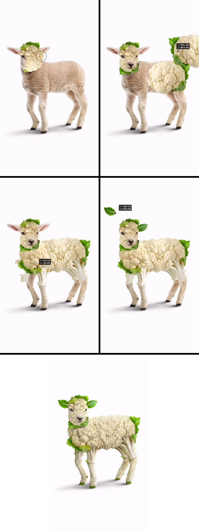 Cauliflower + Lamb = Mind Blown