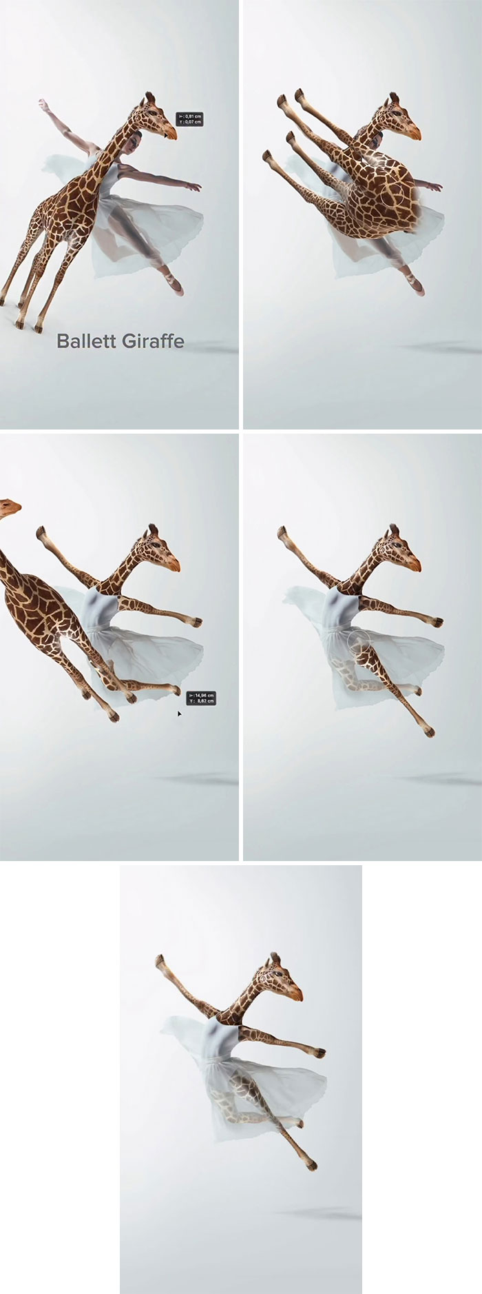 Ballerina Giraffe: Grace with Spots