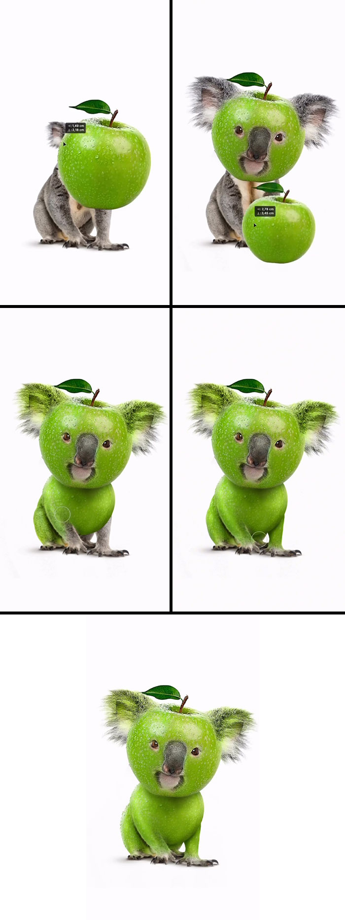 Koalapple: Cuddly and Juicy