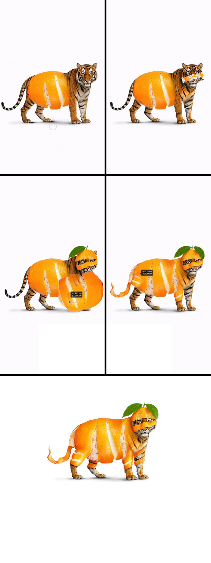 The Oranger: Orange You Glad?