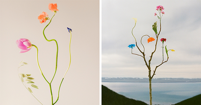 26 Crazy Flower Sculptures That Look Like Nature Went Wild (In The Best Way)