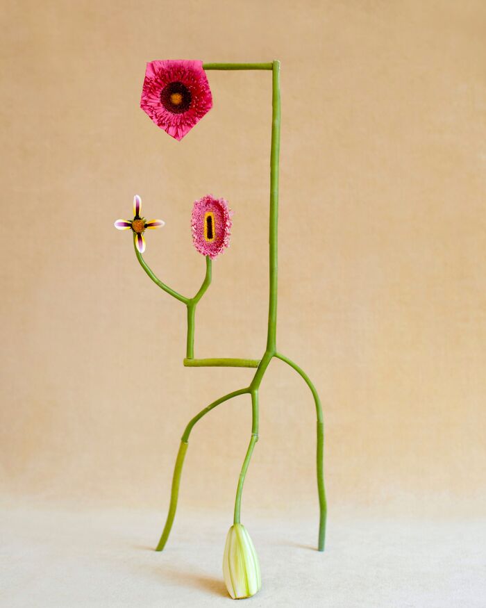 Shapeshifter No.7 - The Flower That Changes Everything