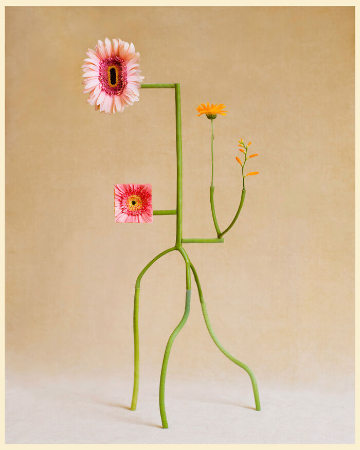 Shapeshifter No.8 - The Flower That Plays Dress-Up