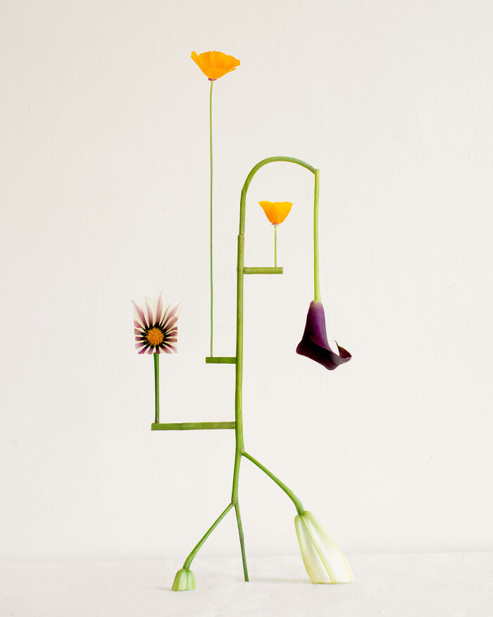 Shapeshifter No.12 - The Flower That Won’t Sit Still