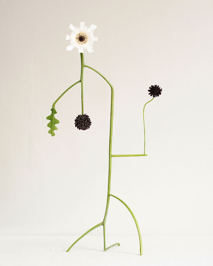 Shapeshifter No.13 - The Petal Trickster