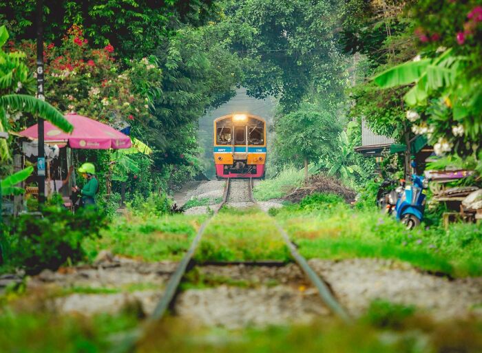 Bangkok’s Tree Tunnel By Florian Kriechbaumer