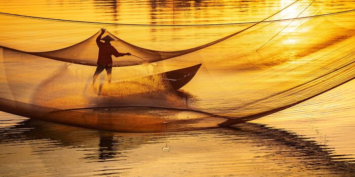 Golden Fishing Mornings By Yoshiki Nakamura