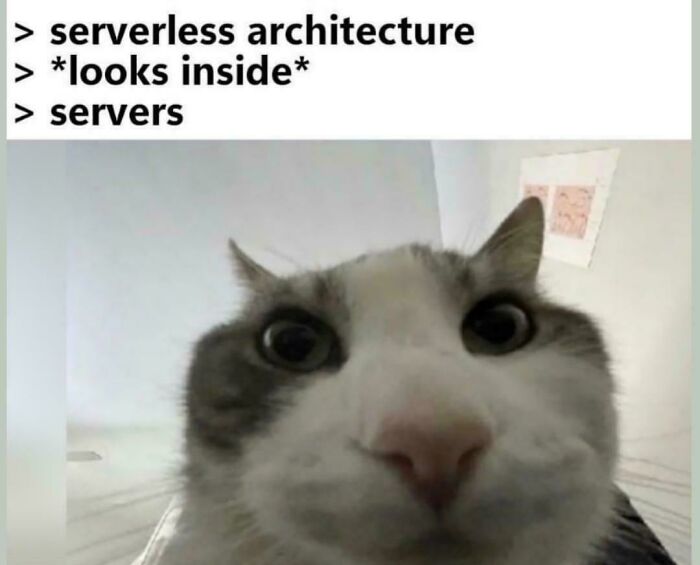 Wait, Programmers Actually Made These Hilarious Memes?!