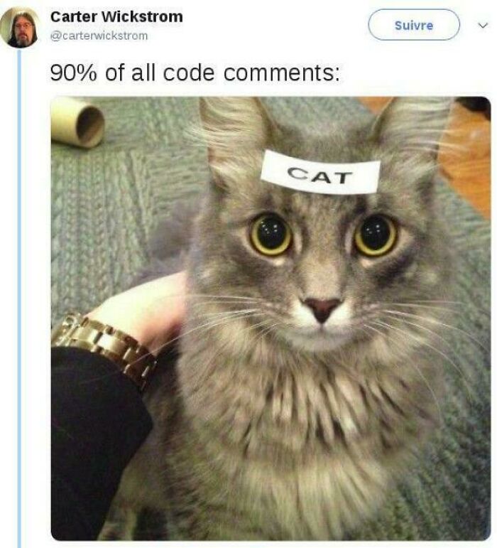 Wait, Programmers Actually Made These Hilarious Memes?!