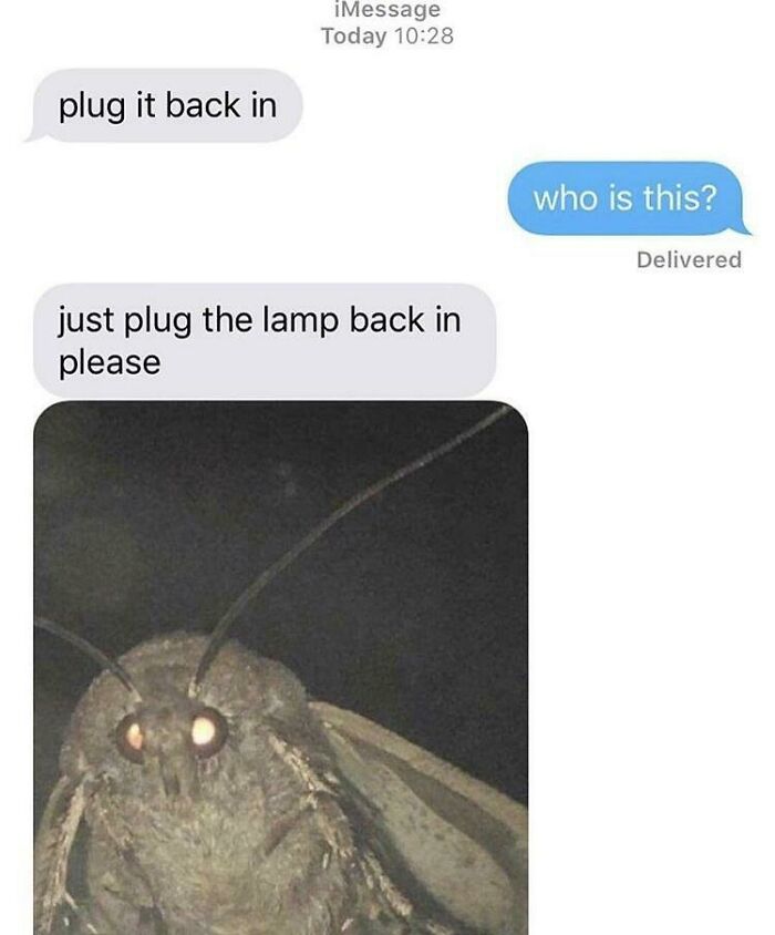 Plug It Back In, Please!