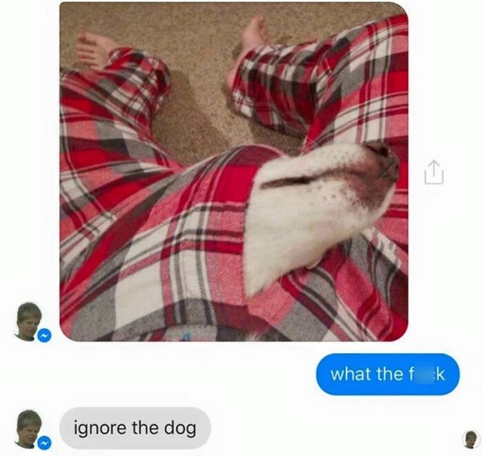 Provocative Texts That Turn Heads