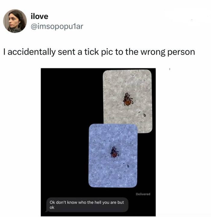 The Wrong Number Text You’ll Never Forget