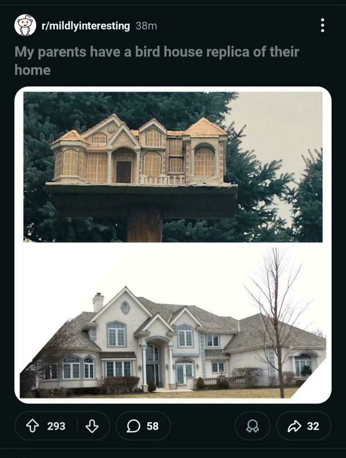 They Just Can’t Stop Themselves