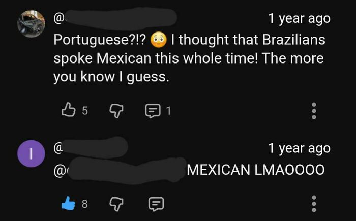 Wait, Brazilians Speak Mexican? Sure They Do!