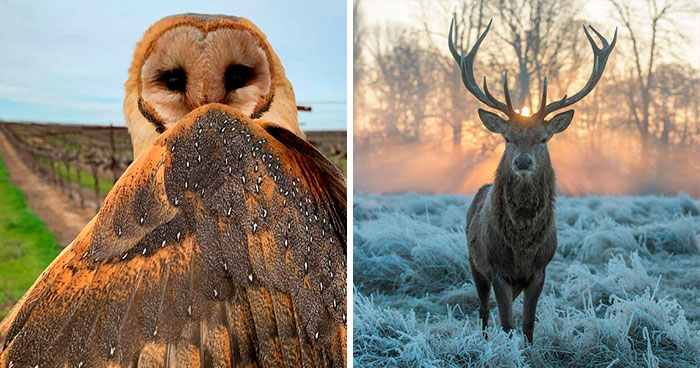 Wait Till You See These Jaw-Dropping Nature Pics That’ll Totally Blow Your Mind