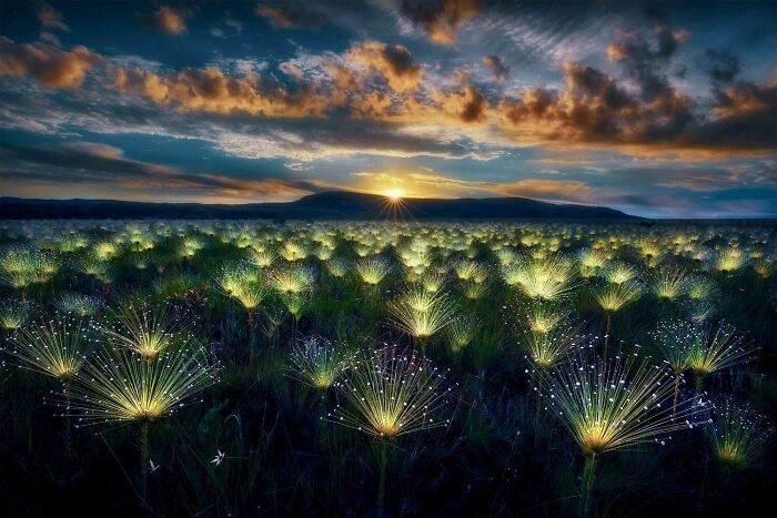 2025’s Mind-Blowing World Nature Photography Awards—Need More Volume To Scream!