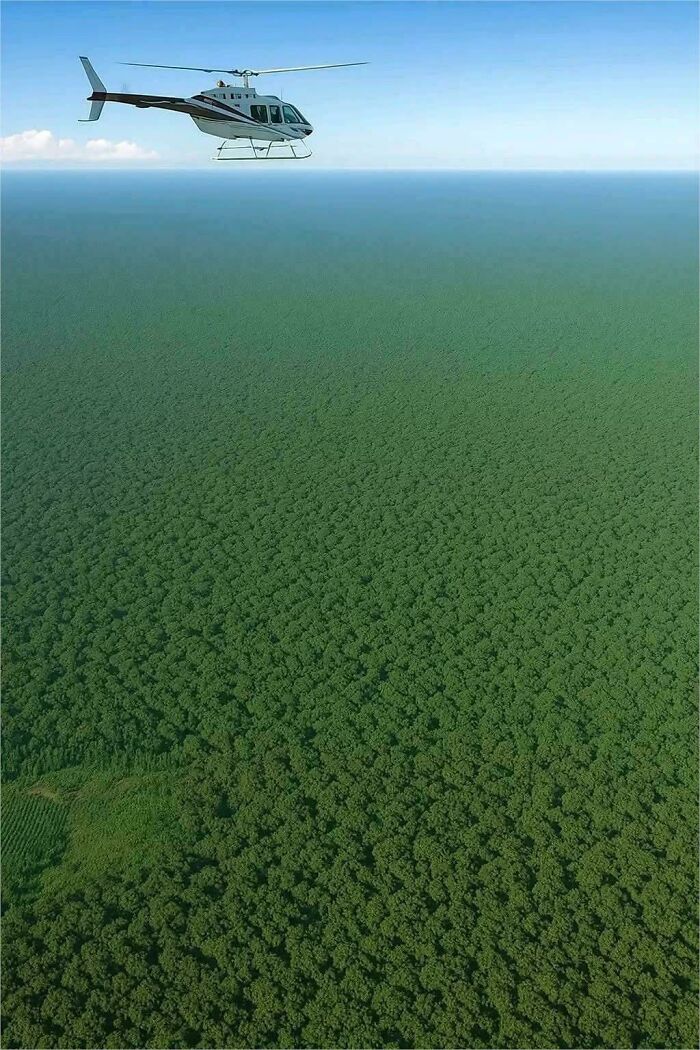Experts Say Nearly 60% Of The Amazon Rainforest Is Basically Nature’s Untouched Secret