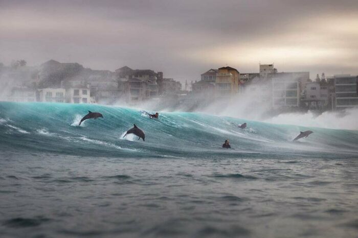 20 Ocean Shots From 2026 That’ll Make You Want To Dive Right In