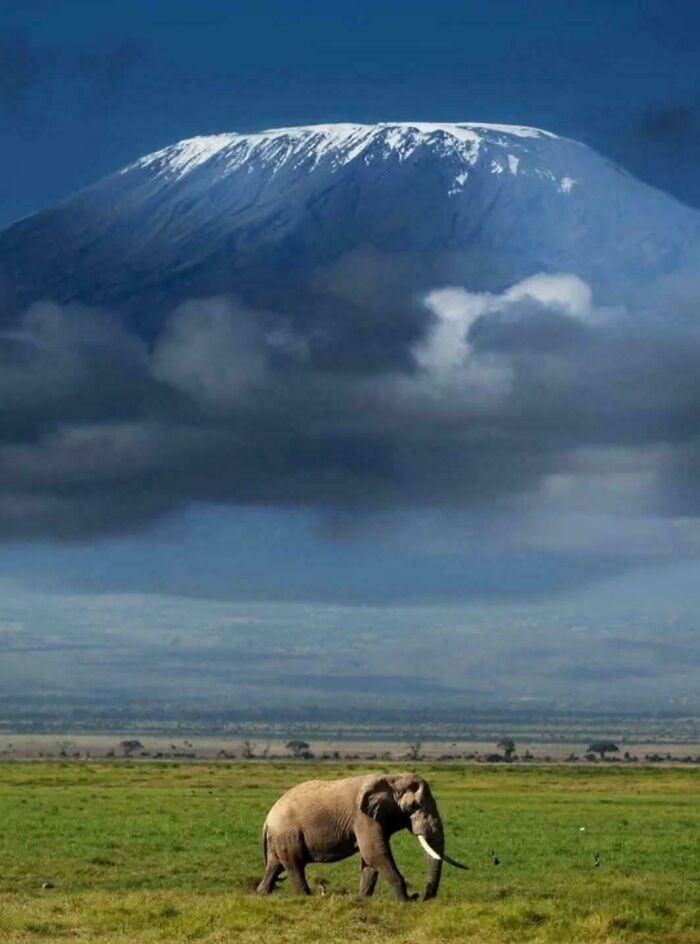 Mount Kilimanjaro Looking Majestic As Ever In Tanzania