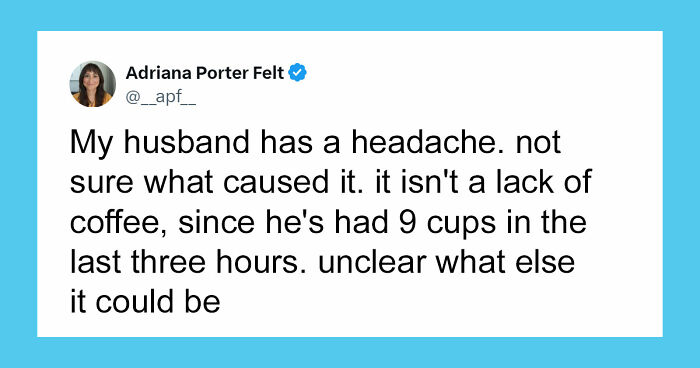 Wait, They Actually Ranked These Hilarious Posts?!