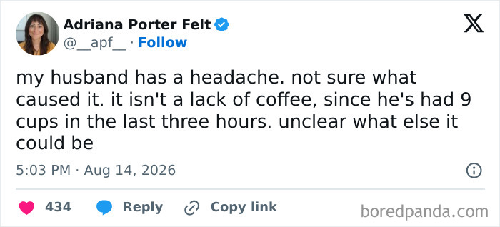 Wait, They Actually Ranked These Hilarious Posts?!