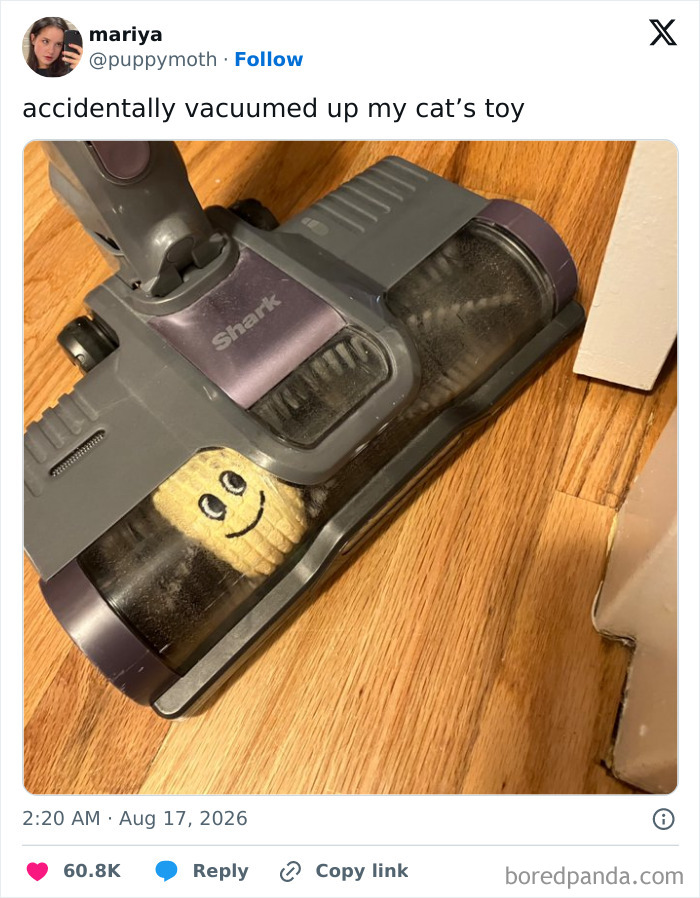 Wait, They Actually Ranked These Hilarious Posts?!