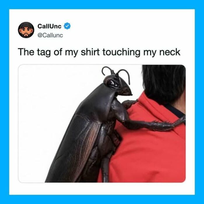 Wait, They Actually Ranked These Hilarious Posts?!