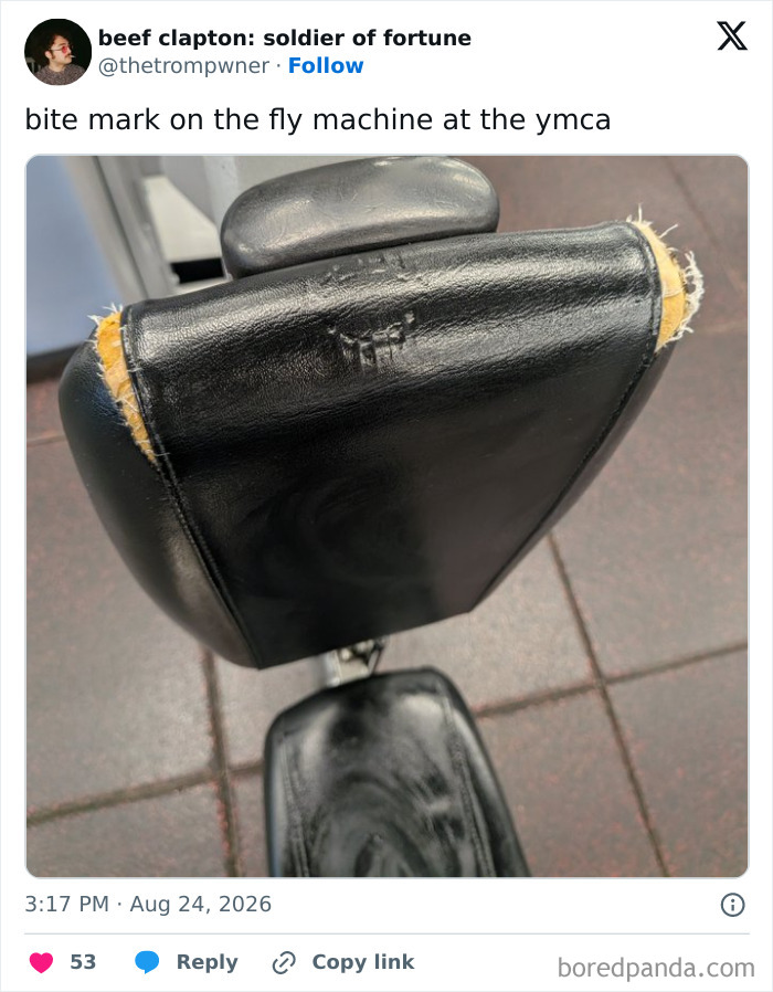 Wait, They Actually Ranked These Hilarious Posts?!